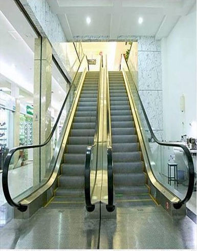 Escort Elevators in India Escort Elevators in India