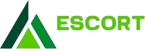 Escort Elevators in India