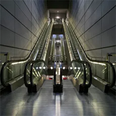 Escort Elevators
